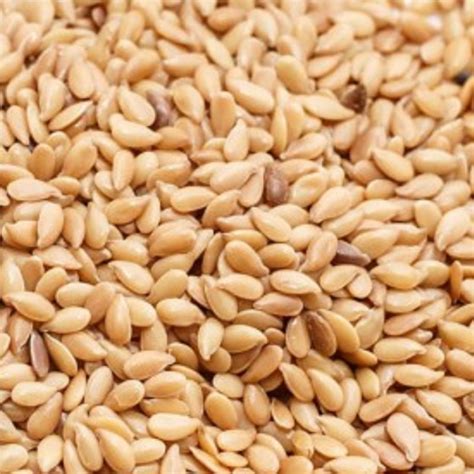 Купить белый лен оптом | Семена золотистого льна - ExportGrain