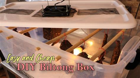 DIY Biltong Box for Easy and Cheap Meat Curing