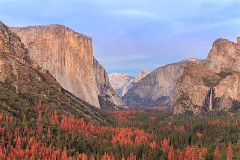 California Fall Foliage: It's Real, and There's a Map for That | KQED