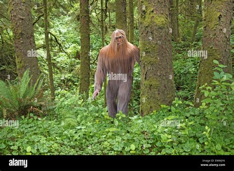 portrait  bigfoot    sasquatch  home   dense