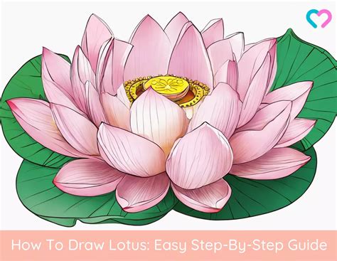draw lotus step  step