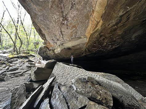 Christy Nelson Herrington