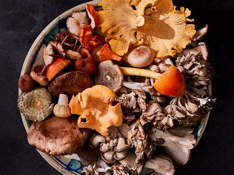 cookbook dives   weird  wonderful world  mushrooms