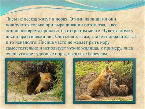 Лисица обыкновенная - презентация онлайн
