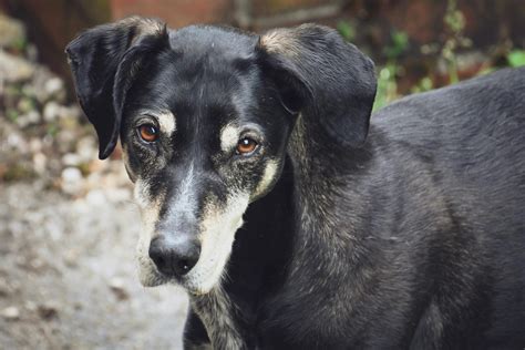 Legs+Short+Skirts+No+Panties Photos, Download The BEST Free Legs+Short