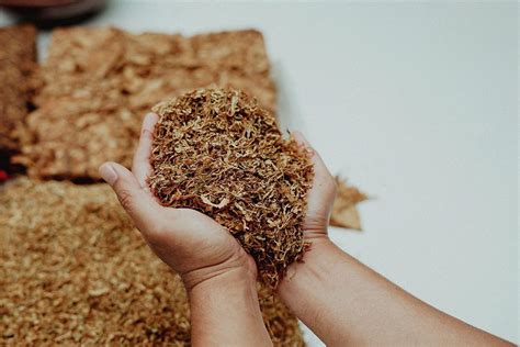types  kretek