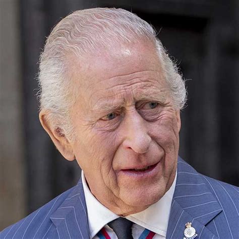 prince harry meets king charles  private tea   time