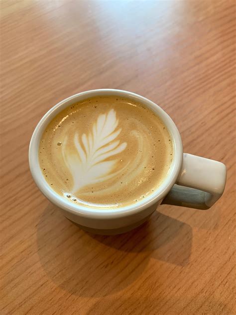 Double Great Coffee | Portland Maine