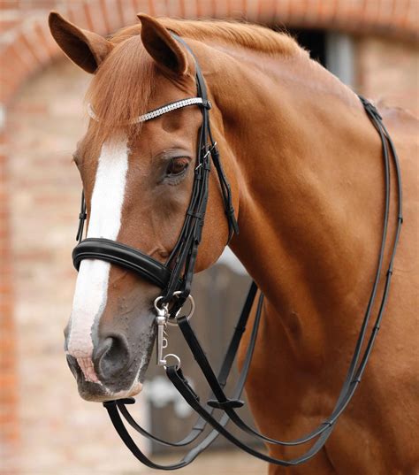 Tighten your grip with these Reins 20