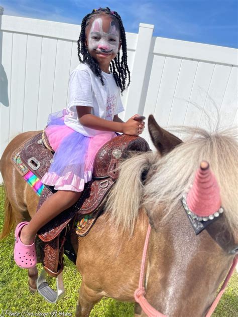 Happy birthday to Ari. Love Mocha and... - Pinto Pony Parties | Facebook