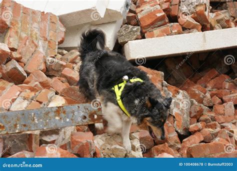 Building Collapse, Disaster Zone Editorial Stock Photo - Image of ...