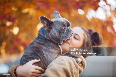 Teenage Girl With Holding Her French Bulldog Photo - Getty Images