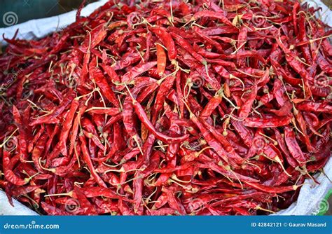 dry red chilly stock image image  cooking chilly