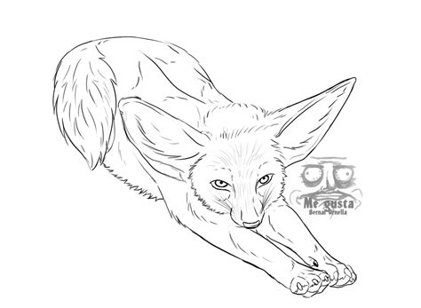 Fennec Fox Drawing at GetDrawings | Free download