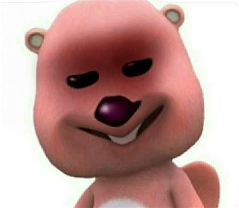opgg