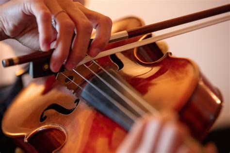 18 Fascinating Violin Facts About the King of Strings - Facts.net