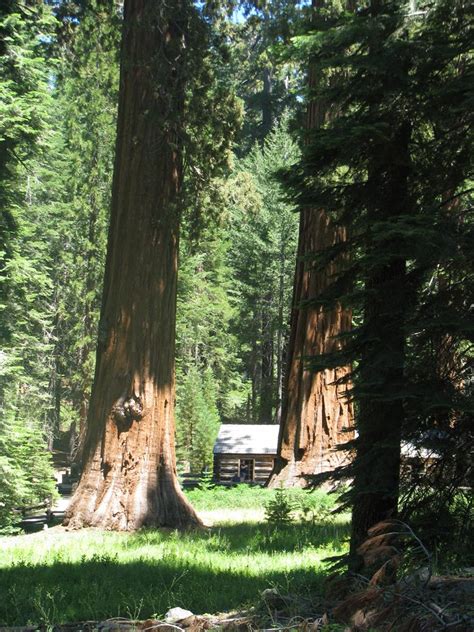 Yosemite National Park: самые красивые места парка