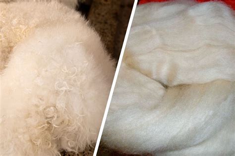 alpaca wool  cashmere wool  winter material aeya alpaca