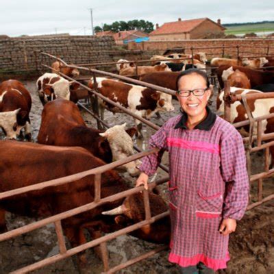 teachers invests  cd finance  leading company helping rural