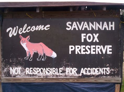 Pictures of Savannah Fox