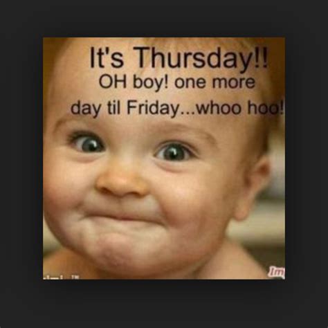 cute animal thursday memes 5