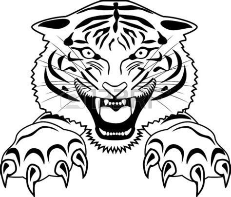 Tiger Outline Drawing at GetDrawings | Free download