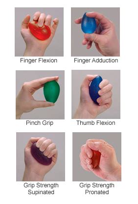 Hand therapy ball exercises to improve fine motor skills – Artofit