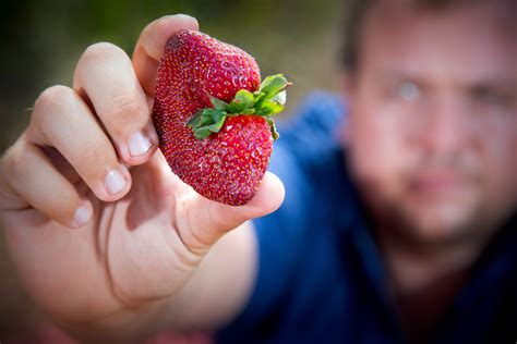 Australian Woman Charged With Hiding Needles in Strawberries | TIME