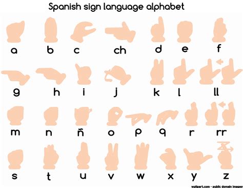 Free Images - spanish sign language alphabet 0