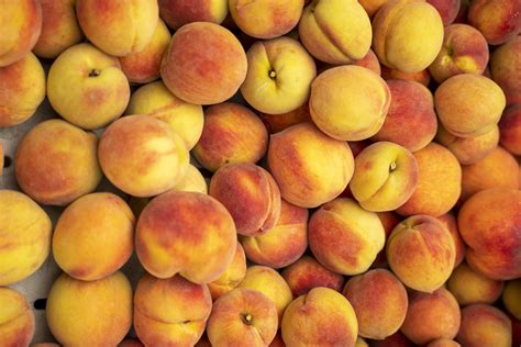 SC State Farmers Market - South Carolina Department of Agriculture