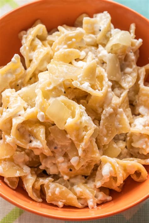 polish cottage cheese  noodles brooklyn farm girl