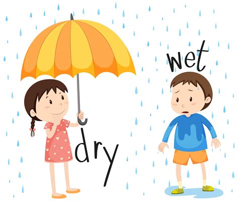 Wet Dry Learning English For Kids, Kids English, English Lessons For