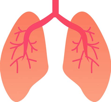 Body Organs Clipart, Human Body Organs Digital Download, Human body ...