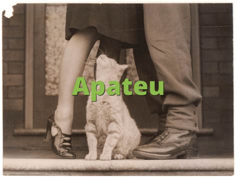 Apateu Meaning » Slang.org