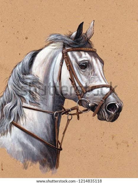 2,693 Beautiful Arabian White Horse Royalty-Free Images, Stock Photos & Pictures | Shutterstock