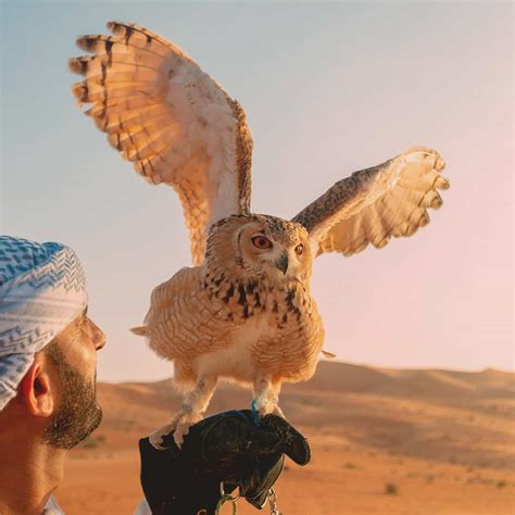 5 UAE Desert Resorts Offering Exceptional Eco Experiences