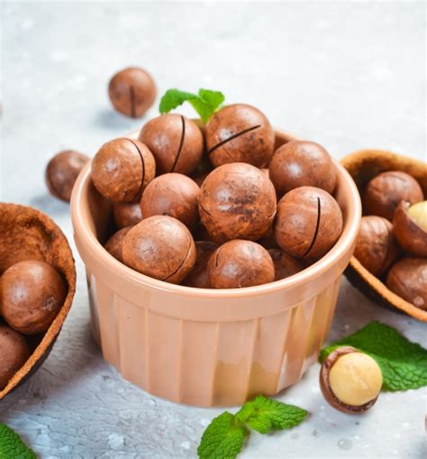 Macadamia - Artexport