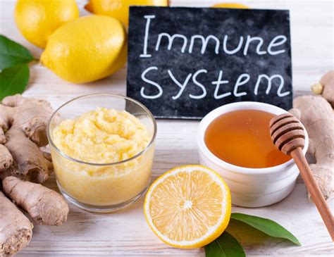 tout savoir sur le systeme immunitaire pour une sante robuste