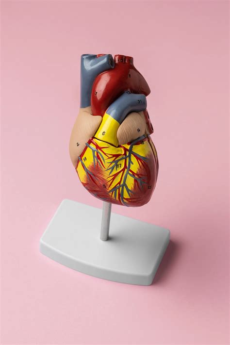Melatonin - Is the sleep aid dangerous for the heart?