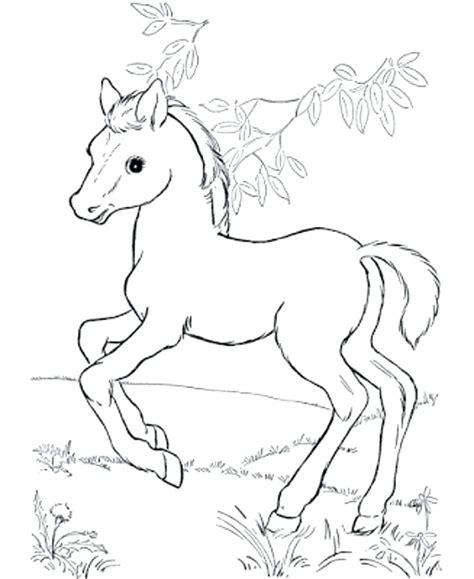 Pinto Horse Coloring Pages at GetDrawings | Free download
