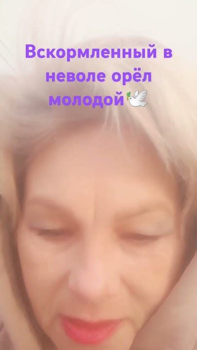 Вскормленный в неволе орёл молодой 🕊️ - YouTube