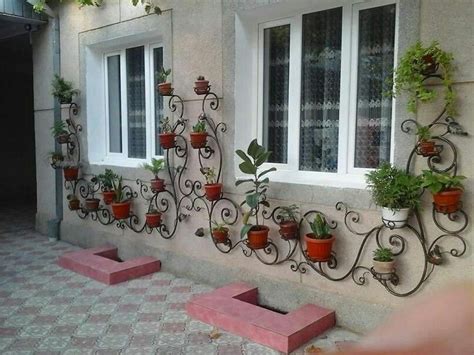 Pin by Елена Волошина on Растишки | Backyard garden design, Cottage ...