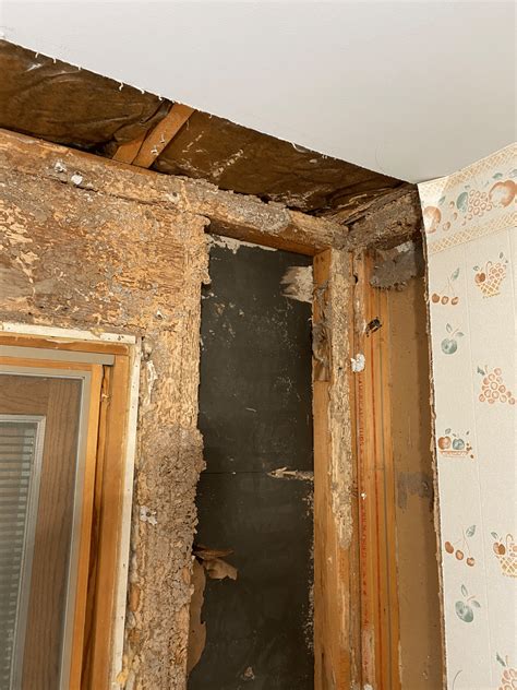 will home insurance cover termite damage 6