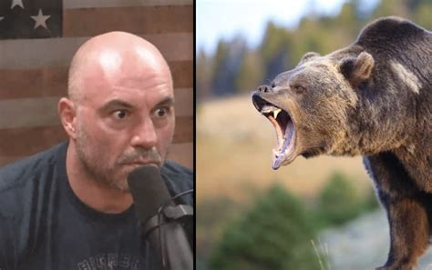 Is Joe Rogan Hiding Something? A Deep Dive Into His Family And Children's Ages Image 19
