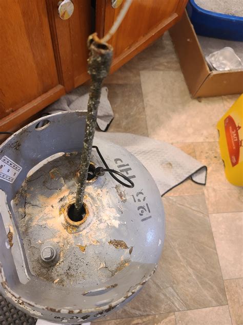 br electrolysis rdiyscience