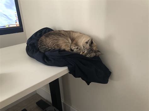 my supervisor sleeping on the job!