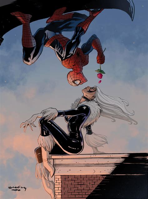 Fans debate the romance between black spiderman and black cat 37