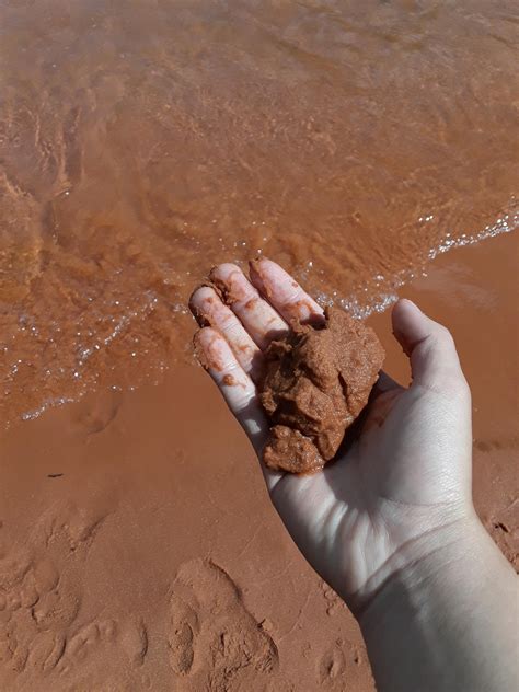 Forbidden Refried Beans : r/forbiddensnacks