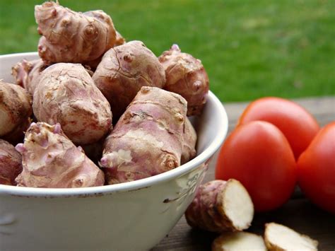 Инулин из клубней топинамбура инструкция по применению отзывы - Самые ...