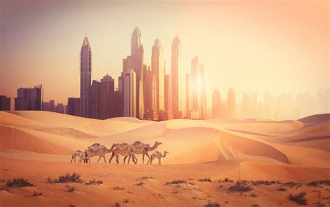 Dubai Can: A New Drive For Water Sustainability